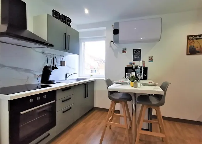 Apartament Cosy - Centre - 2 Pers Sarreguemines